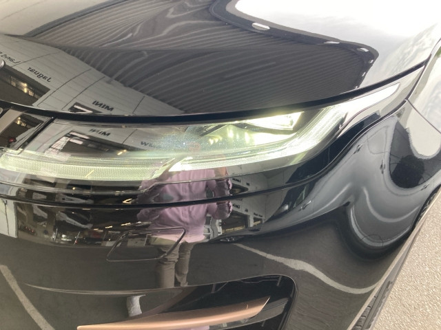 Bild 10: Land Rover SV Dynamic SE D165