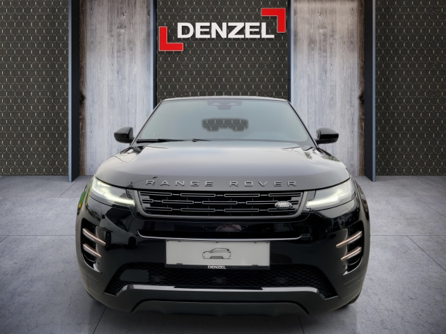 Bild 11: Land Rover SV Dynamic SE D165