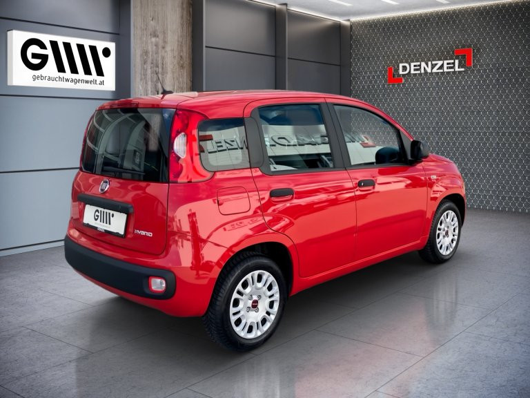 Bild 3: Fiat Panda 4x2 FireFly Hybrid 70 Panda