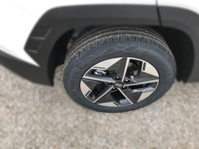 Bild 6: Hyundai Tucson NX4 GO Plus 1,6 T-GDI HEV 2WD AT