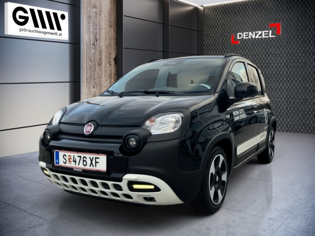 Bild 1: Fiat Pandina