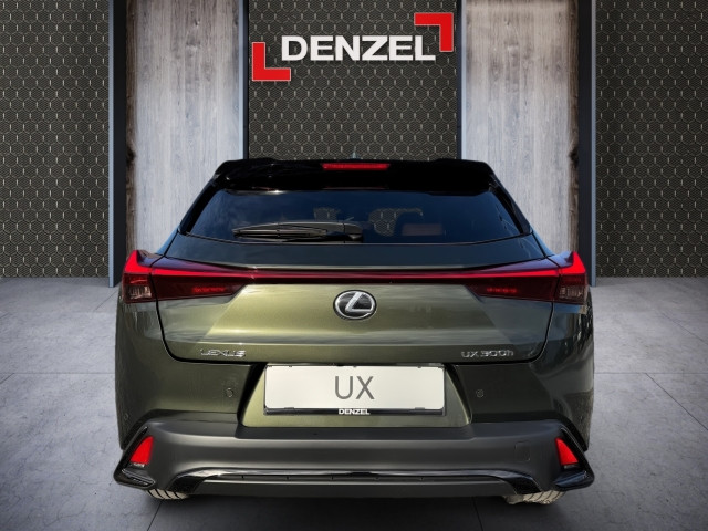 Bild 10: Lexus UX300h 2WD F-Sport Design