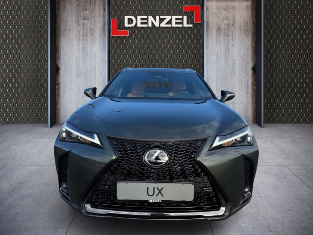 Bild 12: Lexus UX300h 2WD F-Sport Design