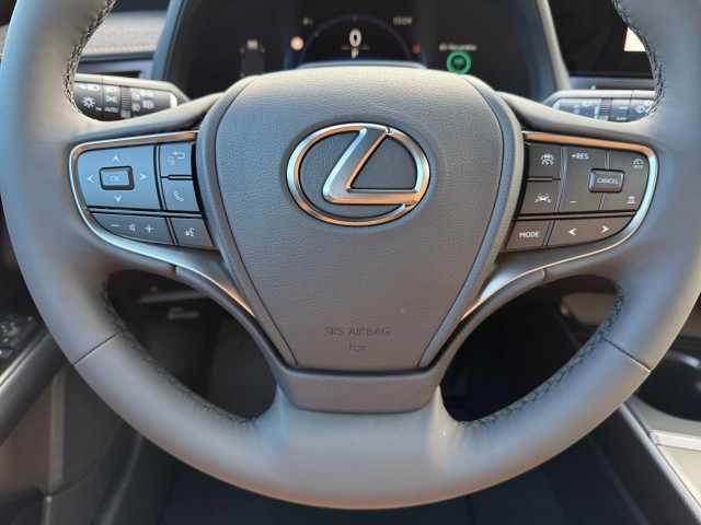 Bild 14: Lexus UX300h 2WD F-Sport Design