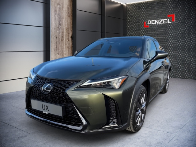 Bild 1: Lexus UX300h 2WD F-Sport Design