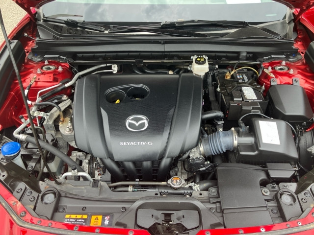 Bild 13: Mazda CX-30 G122 Comfort