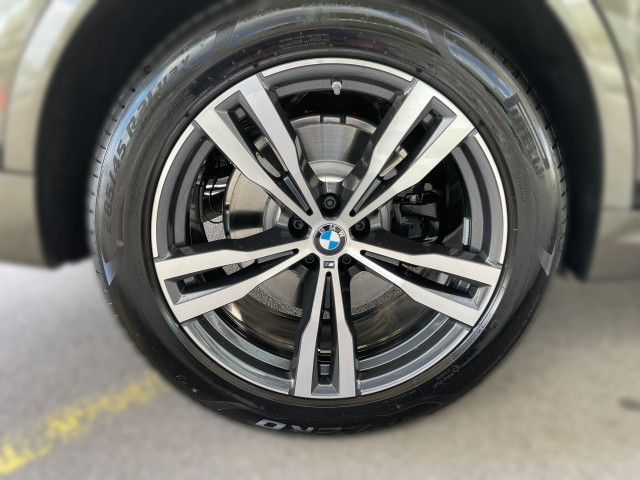 Bild 4: BMW X7 xDrive40d G07 B57