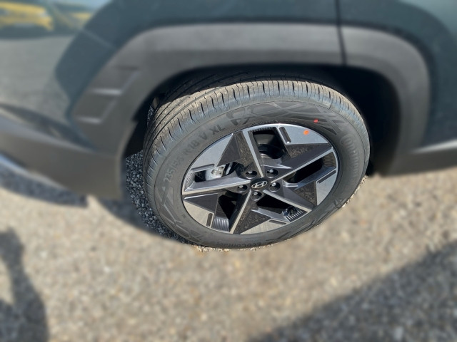 Bild 6: Hyundai Tucson NX4 GO Plus 1,6 T-GDi 2WD 48V DCT t5bu2-PP1