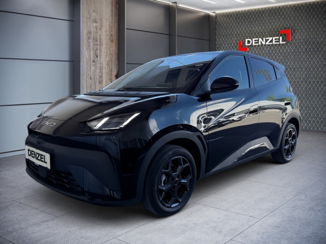 Bild 0: BYD Dolphin Surf Comfort