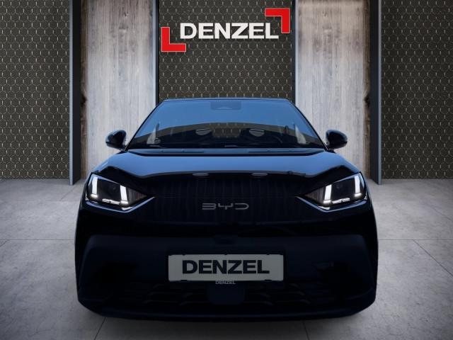 Bild 10: BYD Dolphin Surf Comfort