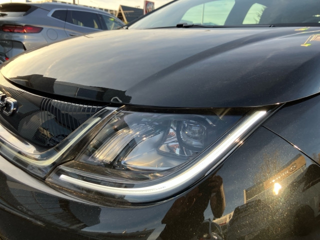 Bild 11: BYD Dolphin Comfort MY2025