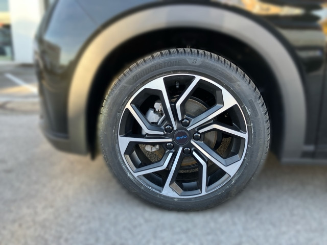 Bild 4: BYD Dolphin Comfort MY2025