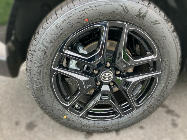 Bild 4: Toyota RAV4 Active 2,5, 306 PS 4x4 Plug-In