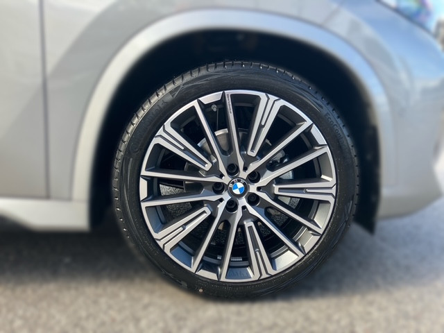 Bild 4: BMW X1 xDrive 20d U11 B47