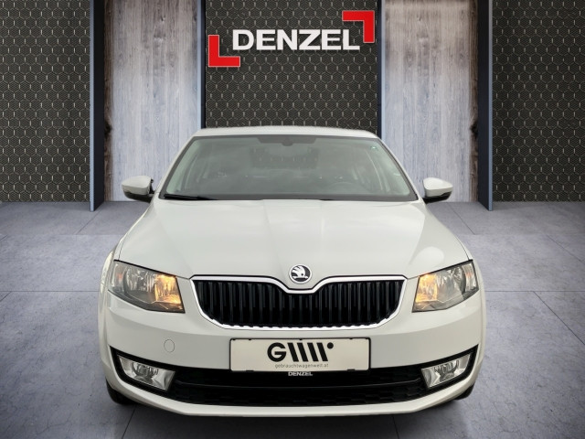 Bild 12: Skoda Octavia 1,6 TDI Ambition