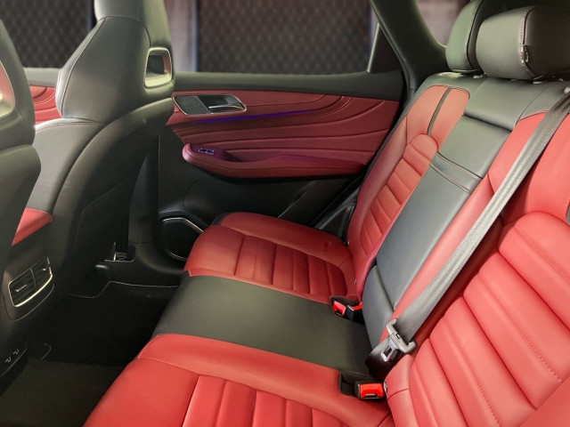 Bild 8: MG EHS PHEV Luxury Lede