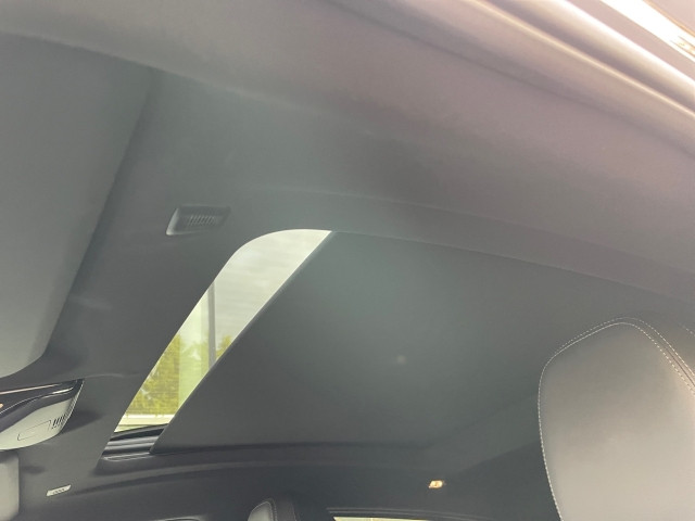 Bild 13: BMW X4 xDrive 20i G02 B48