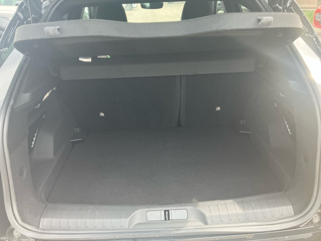 Bild 12: Alfa Junior Ibrida 1.2 136 MHEV FWD