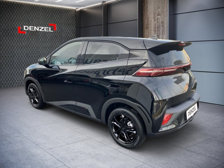 Bild 2: BYD Dolphin Surf Comfort