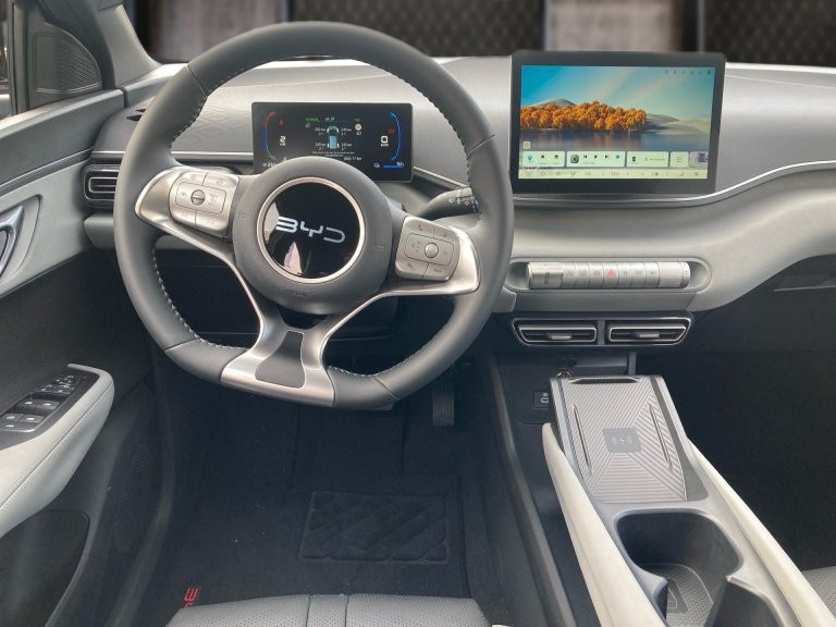 Bild 6: BYD Dolphin Surf Comfort