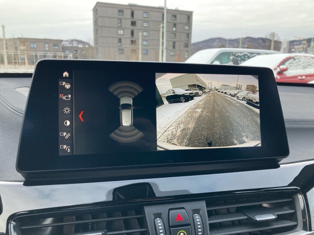 Bild 13: BMW X1 xDrive25e F48 XB2