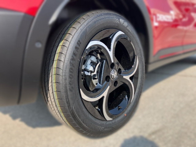 Bild 4: Alfa Junior Ibrida Speciale 1.2 136PS MHEV FWD