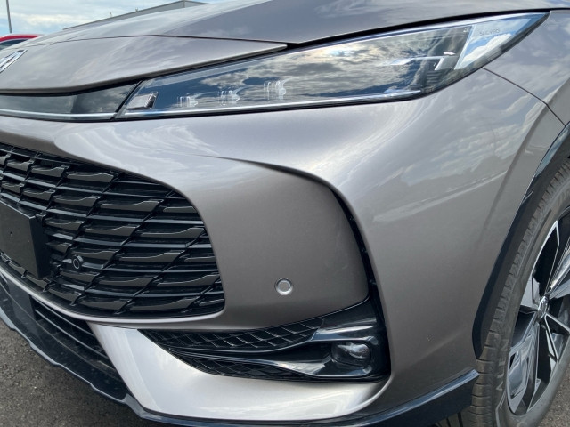 Bild 5: MG HS PHEV+ Luxury 25.5