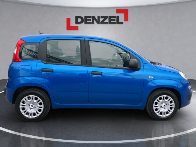 Bild 4: Fiat Panda/Pandina MY25