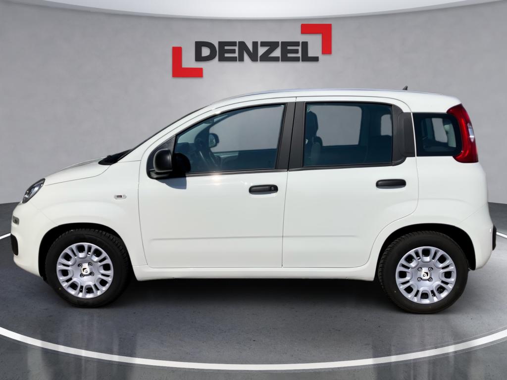 Bild 1: Fiat Panda/Pandina MY25