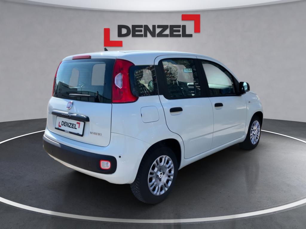 Bild 3: Fiat Panda/Pandina MY25