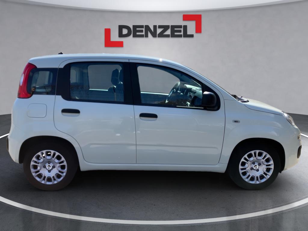 Bild 4: Fiat Panda/Pandina MY25