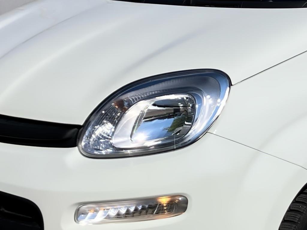 Bild 6: Fiat Panda/Pandina MY25