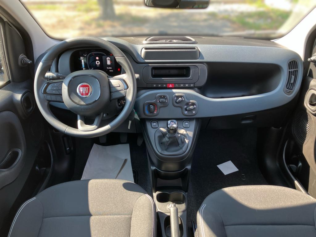 Bild 8: Fiat Panda/Pandina MY25