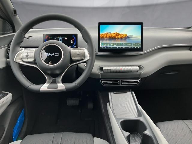 Bild 5: BYD Dolphin Surf Boost