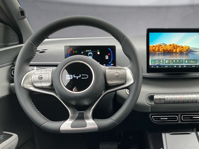 Bild 6: BYD Dolphin Surf Boost