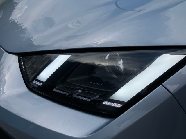 Bild 3: BYD Dolphin Surf Boost