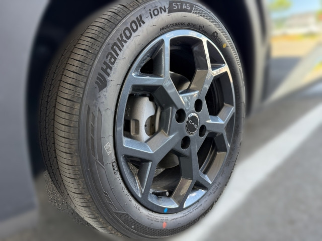 Bild 3: BYD Dolphin Surf Boost