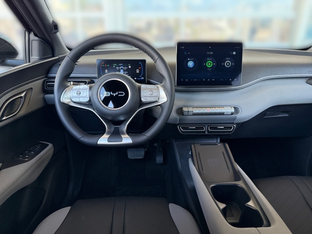 Bild 5: BYD Dolphin Surf Boost