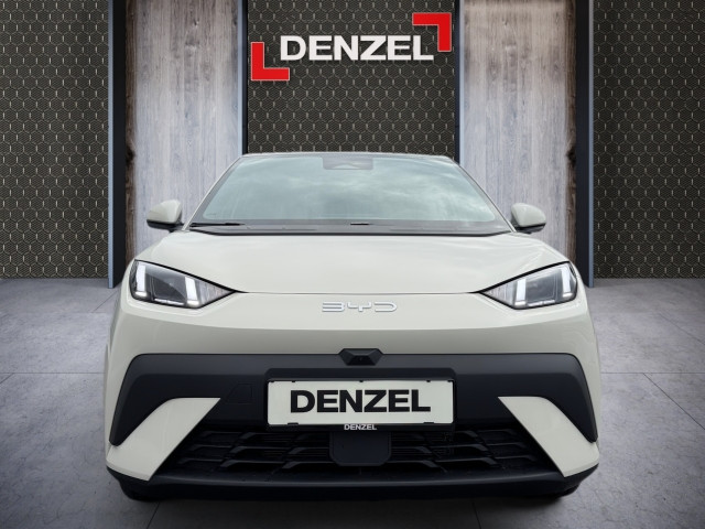 Bild 10: BYD Dolphin Surf Boost