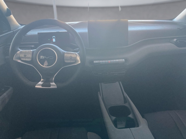 Bild 8: BYD Dolphin Surf Boost
