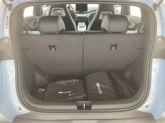 Bild 10: BYD Dolphin Surf Boost