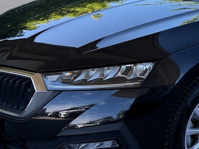 Bild 6: Skoda Octavia Combi Ambition TDI DSG