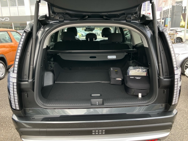 Bild 9: Hyundai IONIQ 9 Trend Line 110 kWh 2WD