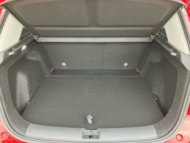 Bild 9: MG ZS HEV Luxury/25.5