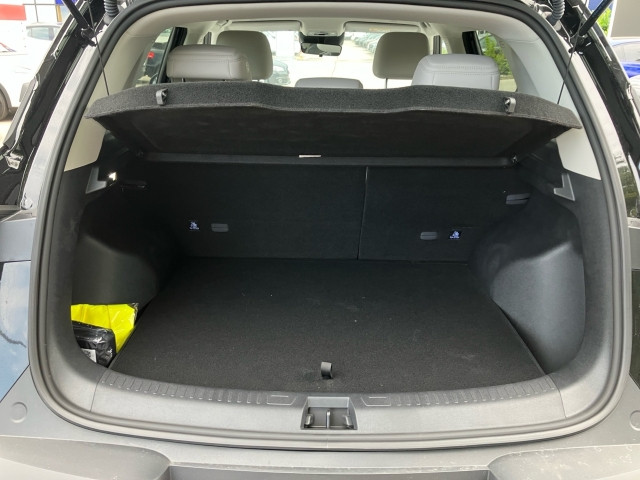 Bild 9: BYD ATTO 2 DM-i Boost
