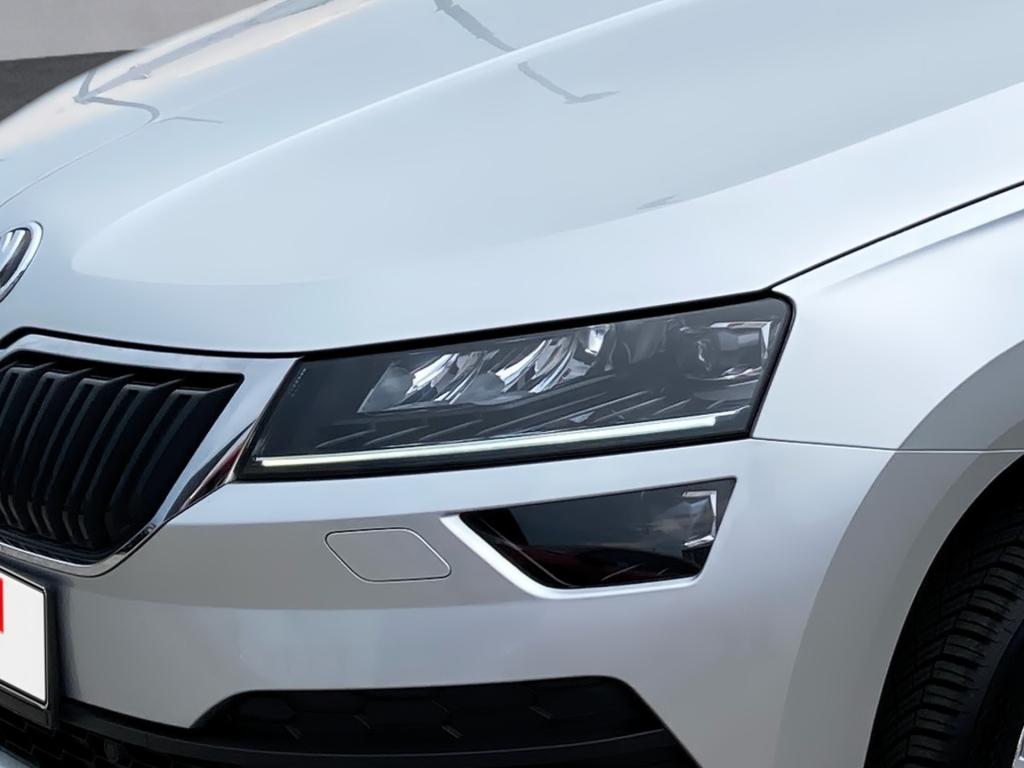 Bild 6: Skoda Karoq