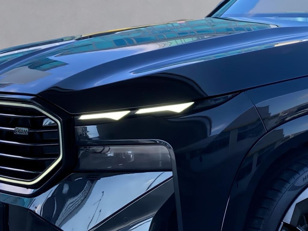Bild 6: BMW XM 50e 29,4kWh Aut.