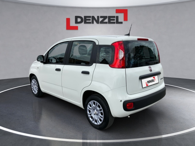 Bild 2: Fiat Pandina Icon MY25