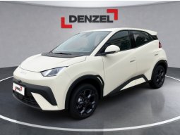 BYD